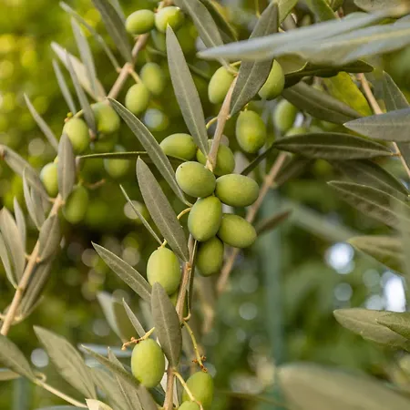 Vilă Anna By Interhome *